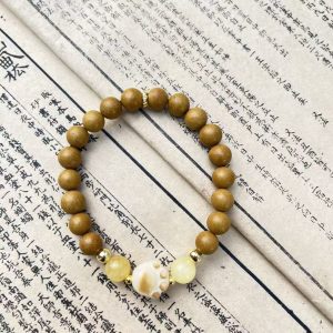 Osmanthus 15cm